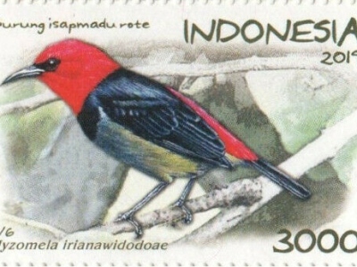 Potensi Pakan Burung Isap Madu Rote (Myzomela irianawidodoae) di Sekitar Danau Lendo Oen, Kec. Rote Timur